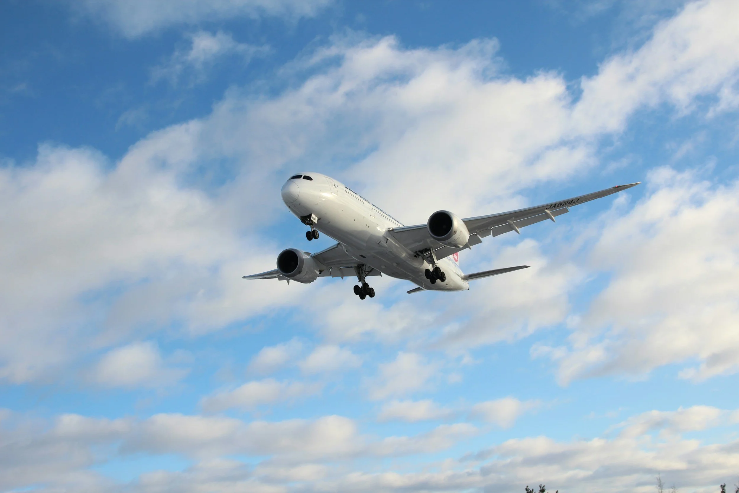 The Economics of an Airline Flight