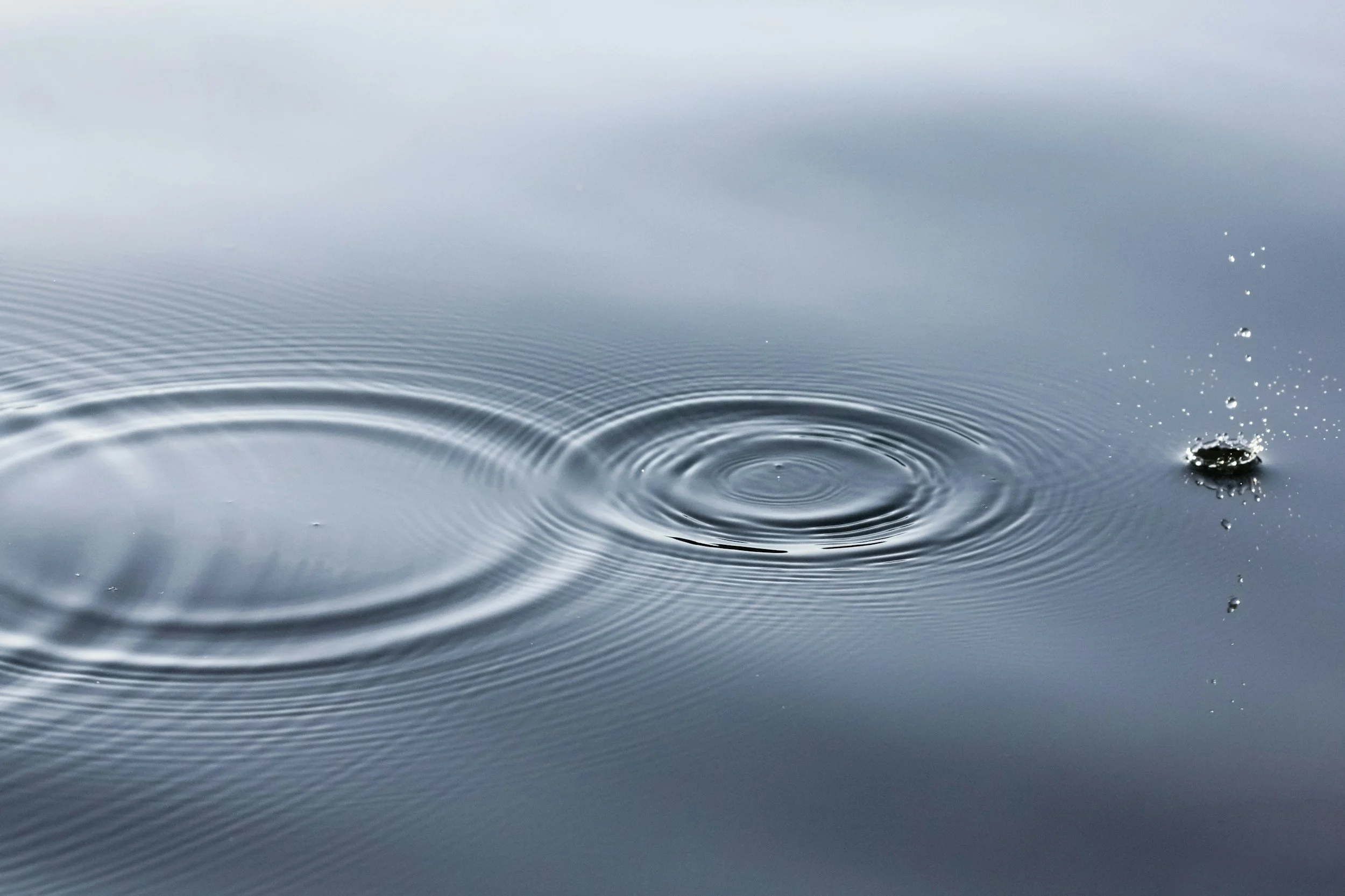 The Evolution of Commerce Media: Navigating a New Era in Advertising